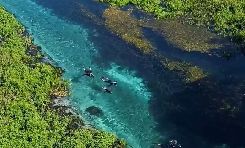 Águas cristalinas do Rio Sucuri oferecem cenário ideal para flutuação guiada