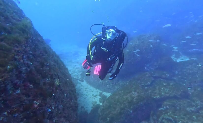 Parque Estadual Marinho Laje de Santos reúne águas transparentes e rica vida marinha
