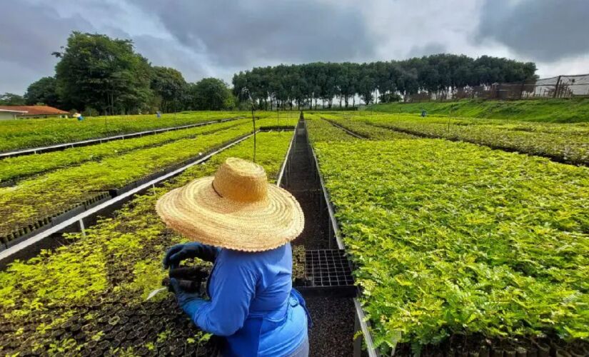 Um dos novos objetivos das grandes empresas é ter uma cadeia totalmente sustentável