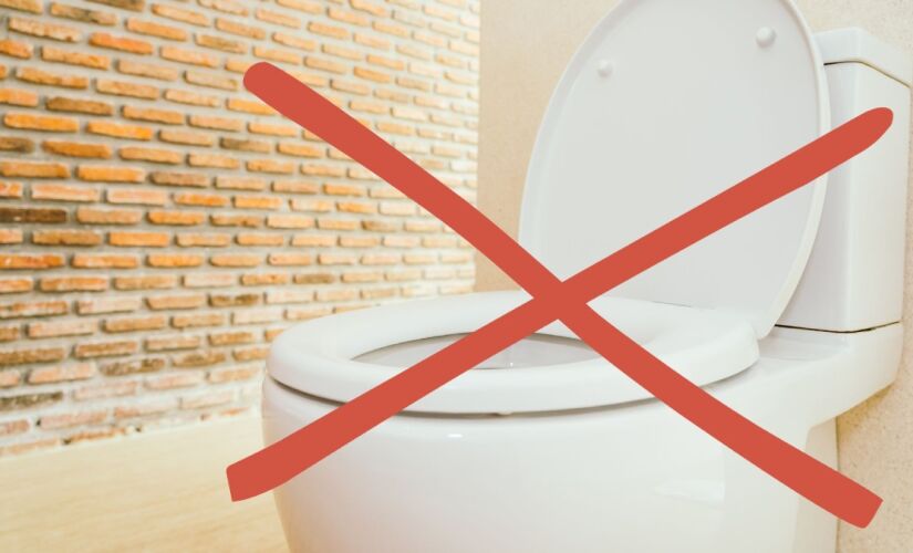 A escolha entre um e outro tipo de vaso depende do ambiente, das condições de higiene e das necessidades de cada pessoa, refletindo uma tradição milenar que segue viva em tempos modernos.