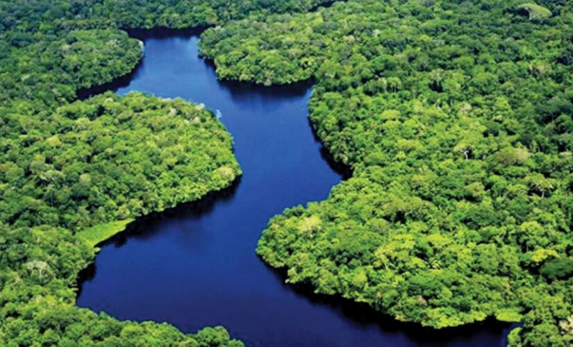 Estratégia integrada reduz desmate e prepara o Pará para apresentar resultados na COP30.