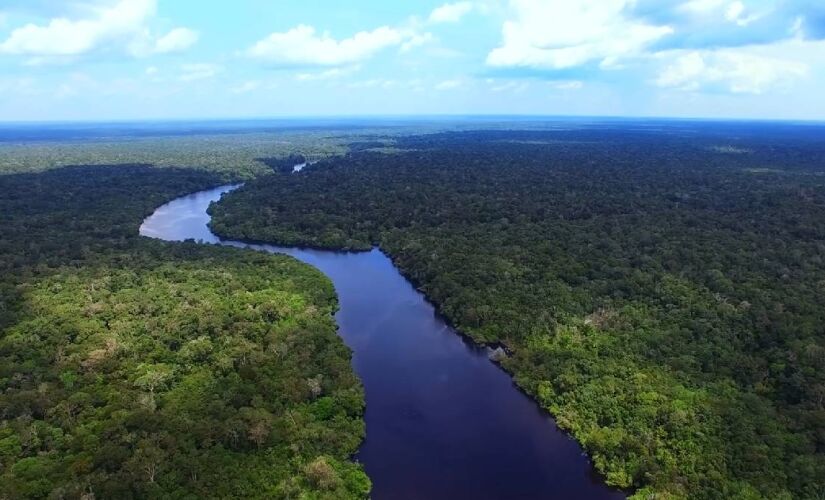 Base dados ficou com o Projeto de Desmatamento e Monitoramento do Desflorestamento na Amazônia Legal (Prodes), do Inpe