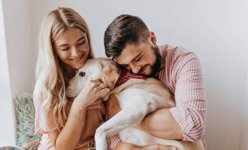 O cheiro de um cão está ligado à genética e depende de fatores como o tipo de pele, a quantidade de glândulas sebáceas e o formato da pelagem.