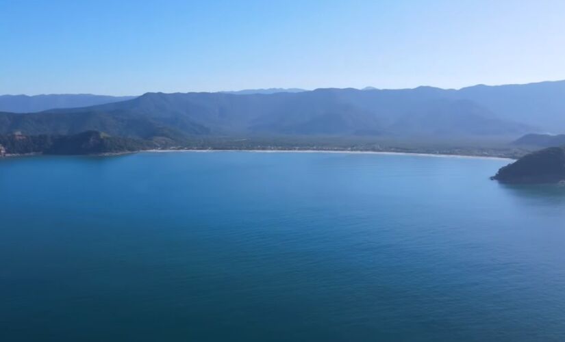 A ideia surgiu para democratizar as informações que ficavam presas ao ambiente academico