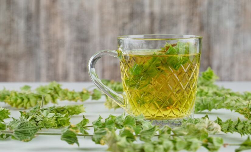 Essa erva traz tantos benefícios que foi apelidade de superchá