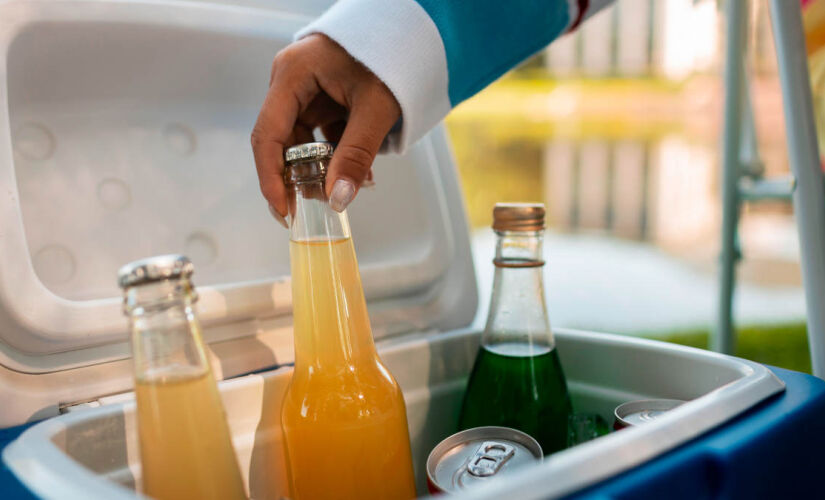 Saiba por que o cooler elétrico está substituindo as caixas térmicas nas viagens e acampamentos.