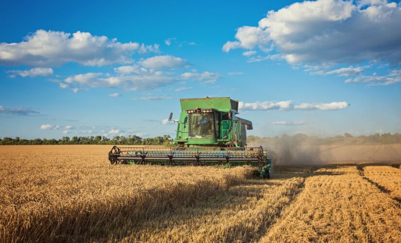 Pesquisa mostra que clima e solo contam mais que economia na hora de garantir segurança alimenta