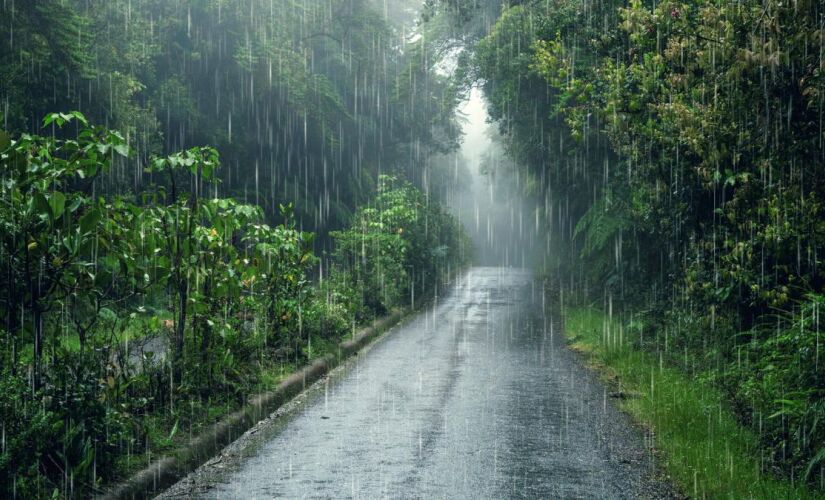 O aroma da chuva nasce do encontro entre gotas e o solo seco, uma reação que libera compostos que nosso nariz identifica na hora