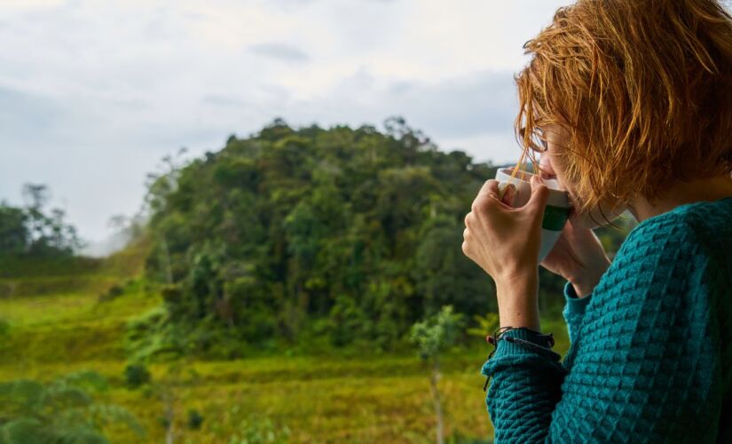 Estudos mostram que até 10 minutos de contato com a natureza já reduzem estresse e melhoram o humor