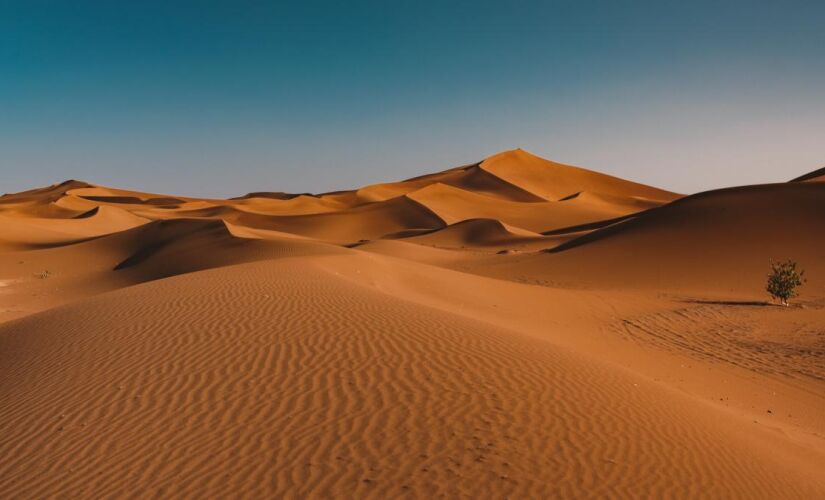 O Deserto do Saara, um dos mais áridos do mundo, pode virar uma imensa floresta verde com o aumento de chuvas