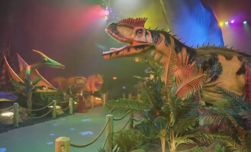 Experiência promoverá o contato do público com cinco espécies de dinossauros