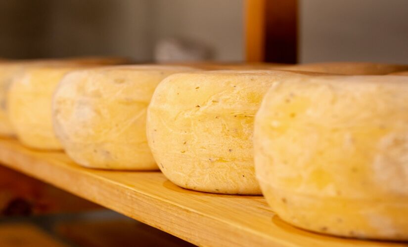 O queijo dessa região é considerado um dos melhores do mundo