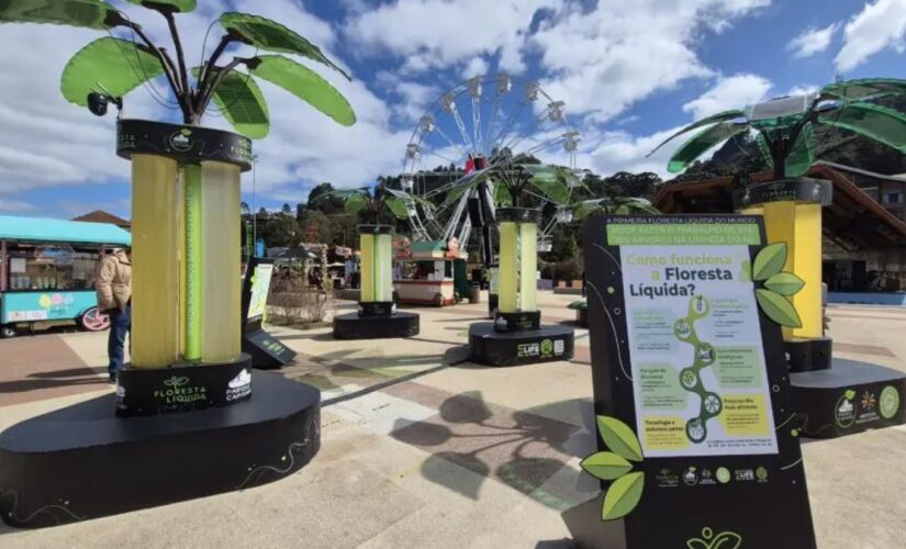 Batizado de Life Tree, o equipamento reúne três tubos de acrílico lado a lado, com água doce e algas marinhas borbulhantes. 
