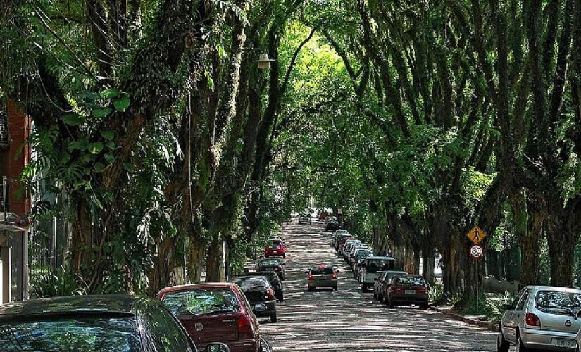 Por muitos considerada a rua mais bonita do mundo.