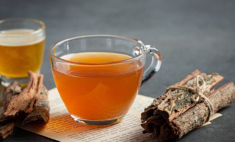 Usada há séculos na medicina popular, a planta mulungu voltou a chamar atenção por seu poder relaxante e benefícios para o sono.