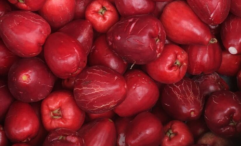 Além de saboroso, o fruto reúne inúmeros nutrientes que contribuem para a saúde