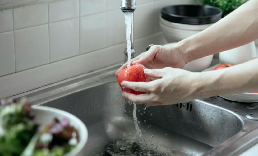 Bactérias como E.coli e Salmonella se escondem em frutas não lavadas