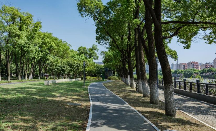 Cidades com mais áreas verdes registram quedas significativas na temperatura média anual