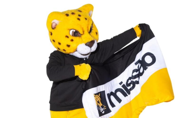 Bandeira colocada à venda pelo Partido Missão