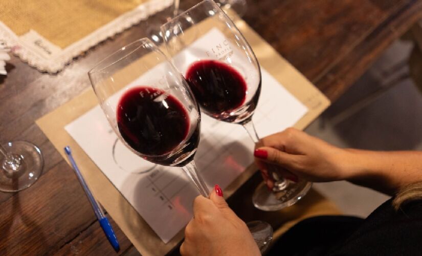 Proposta difere de visita turística tradicional ou de clubes de assinatura de vinhos