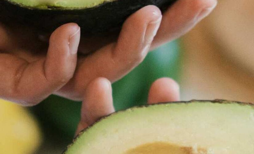 Pequena cidade do interior tem papel essencial e produz 8,6 mil toneladas por ano