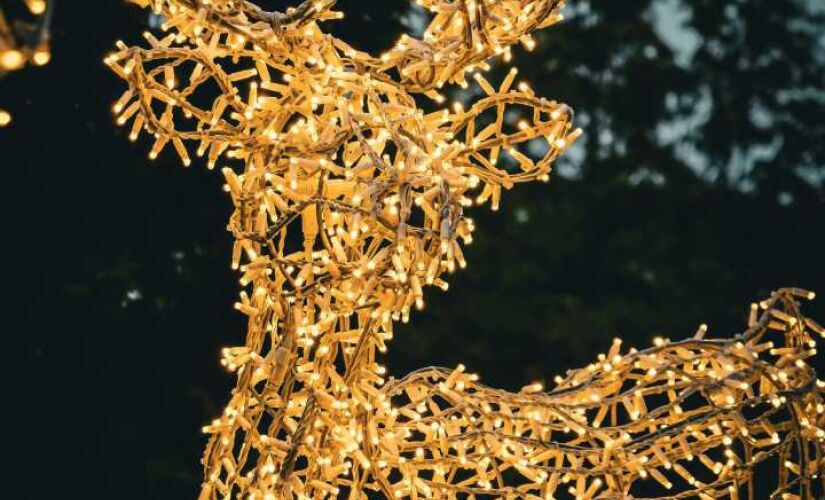 Programação inclui apresentações com Coral de Natal, a Banda Santa Cecília e a Parada de Natal