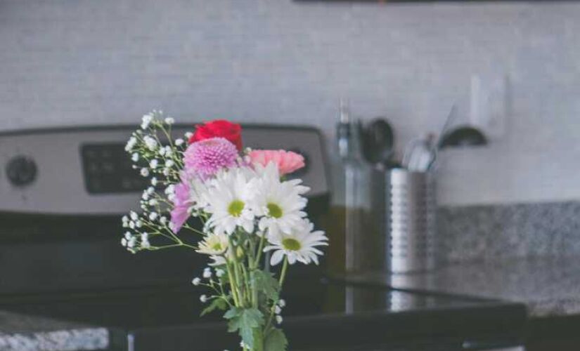 Novo micro-ondas multifuncional combina grill, convecção e vapor