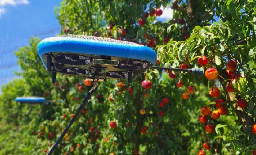 Tecnologia ainda está em fase de testes, mas especialistas apontam que deve se consolidar na próxima década