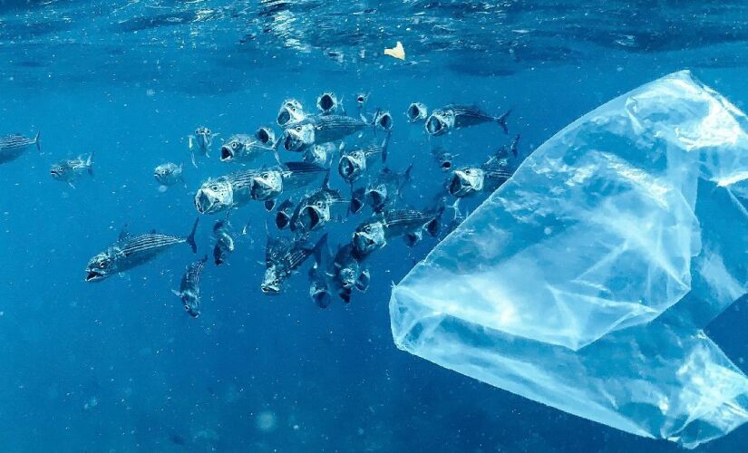 Acões reforçam que combater o lixo do mar é uma oportunidade de transformar a relação entre empresas e comunidades