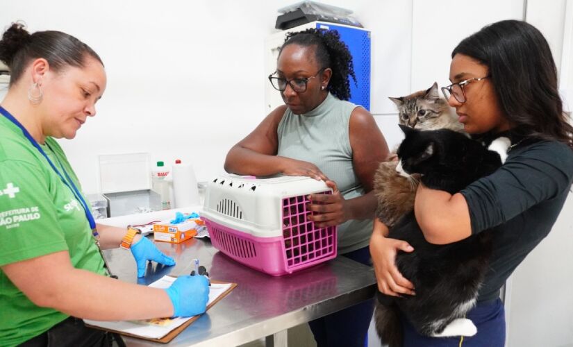 Vacinação anual de cães e gatos é recomendada pelas diretrizes nacionais de vigilância epidemiológica