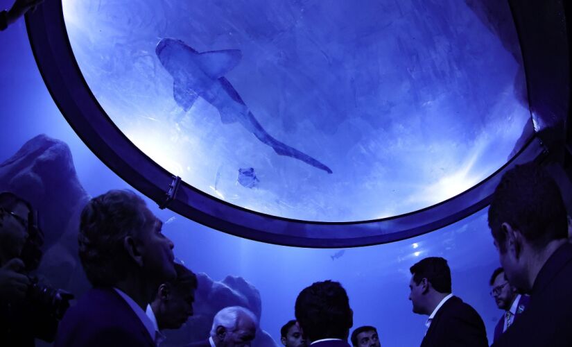 AquaFoz possui o segundo maior tanque oceânico do Brasil, com 2 milhões de litros de água