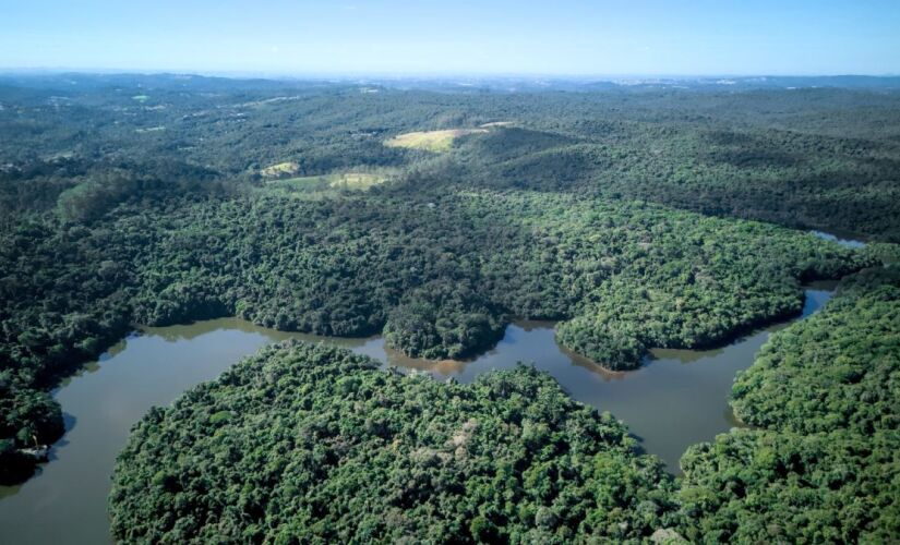 O local protege ainda as nascentes que alimentam o Rio Cotia, garantindo qualidade da água e equilíbrio ambiental.