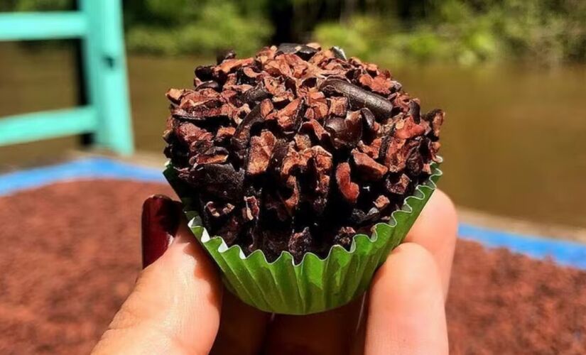 Passeio de barco leva visitantes à fábrica Filha do Combu, na Ilha do Combu, onde cacau orgânico vira chocolate premiado em meio à floresta amazônica