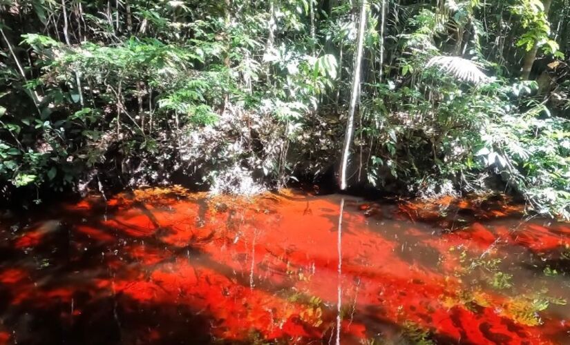 Entenda o fenômeno que deixa um rio brasileiro com água vermelho-sangue
