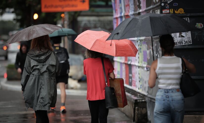 Defesa Civil orienta a população a evitar se abrigar sob árvores durante tempestades