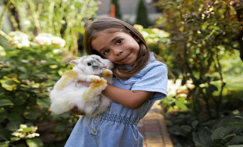 O animal de estimação ajuda a criança a amadurecer emocionalmente