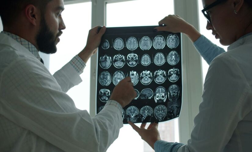 Cientistas divulgam estudo que permite entender o sistema de recompensa do cérebro