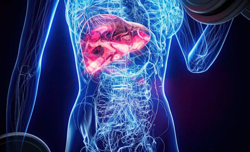 Esses alimentos podem te salvar de ter gordura no fígado