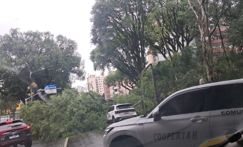 Árvore caiu, nesta tarde de terça-feira (9/12), sobre veículos na avenida 23 de Maio