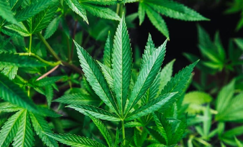 Condição provoca crises intensas de dor abdominal, náuseas e vômitos, e tem aumentado o número de pessoas na emergência