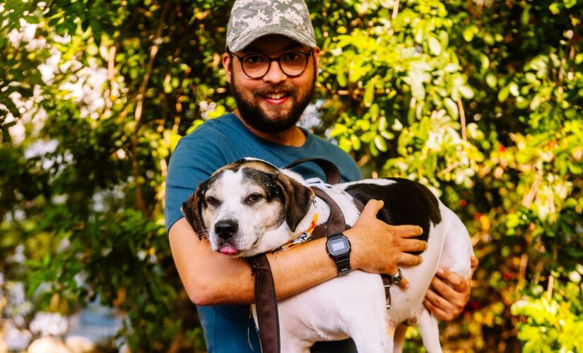 Animais idosos costumam ter temperamento estável e tendem a fazer menos bagunça
