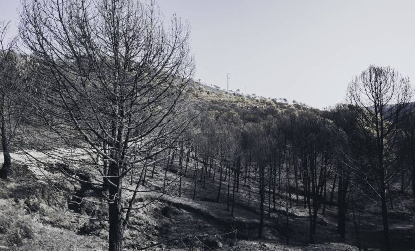 Urupema, em Santa Catarina, é a cidade mais fria do Brasil durante o inverno