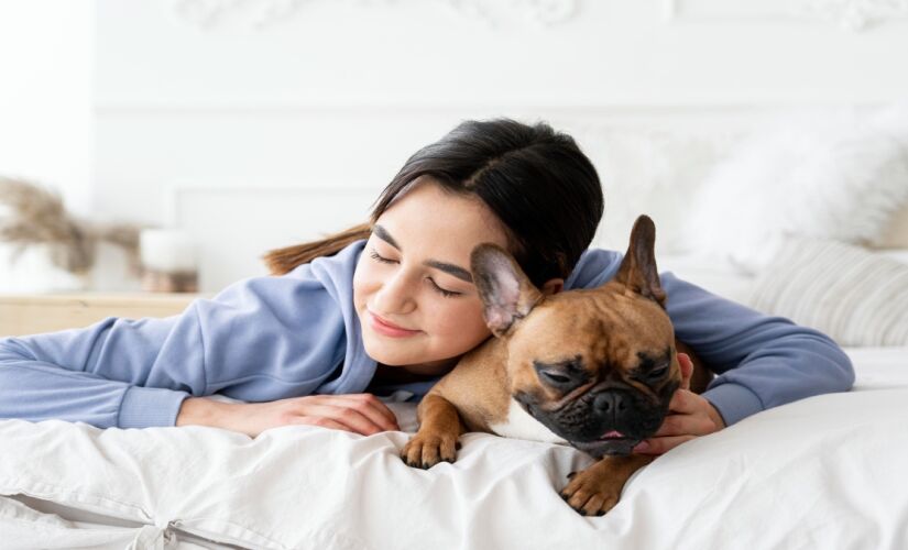 Dormir com cachorro na cama pode trazer conforto, mas exige atenção à higiene e à saúde de quem divide o travesseiro