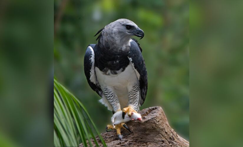 Um registro desse tipo costuma virar ponto de partida para ações bem objetivas
