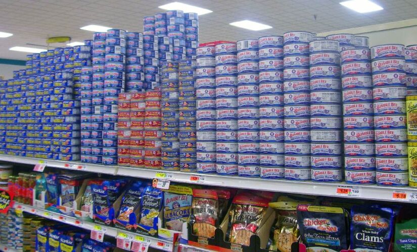 Chamado atum branco possui maior ciclo de vida