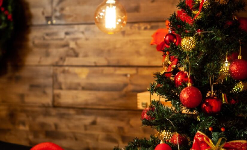 Complexo também montou uma árvore de nove metros e mais de uma dezena de atrações interativas