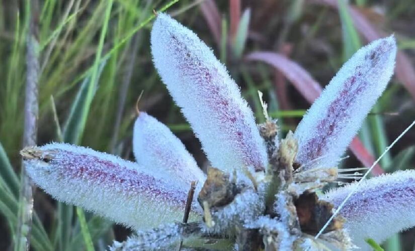 Vale está a cerca de 3 quilômetros do centro do município, às margens da SC-114 e integra o Roteiro Turístico Caminhos da Neve