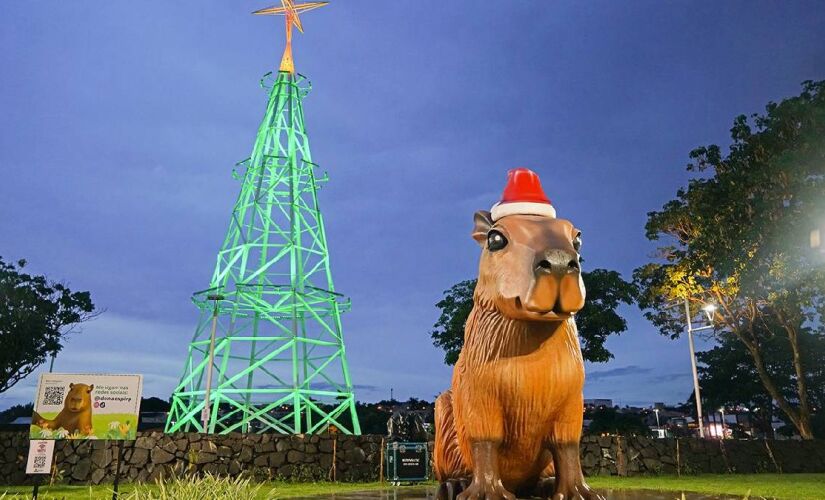 Levantamento aponta ainda que 49% dos consumidores devem realizar as compras em lojas físicas, seguidos por shopping centers