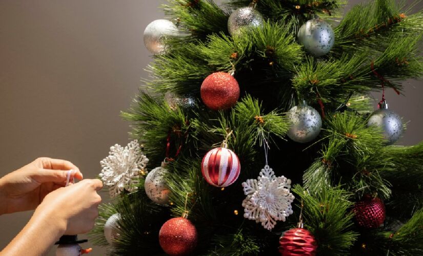 Parque Fazenda Engenho D'Água foi completamente transformado com decoração e iluminação temáticas