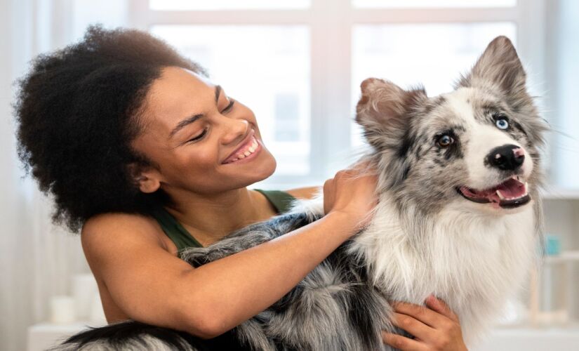 Entenda o motivo de você gostar tanto de acariciar cachorros 